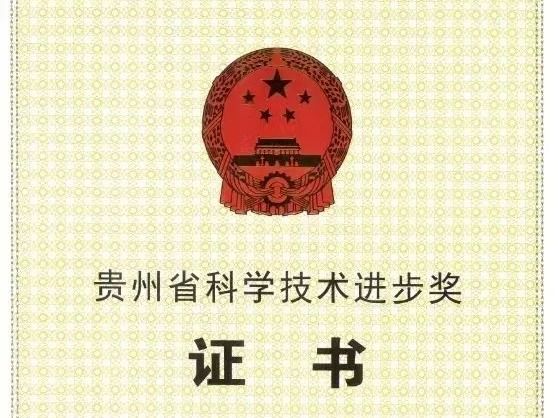 重大突破！！！世界杯官网这位老师荣获贵州省科学技术进步奖一等奖